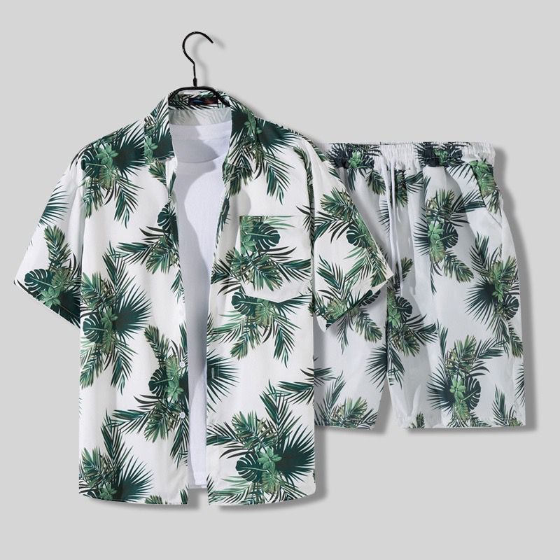 Tropical Moderne Zomerset